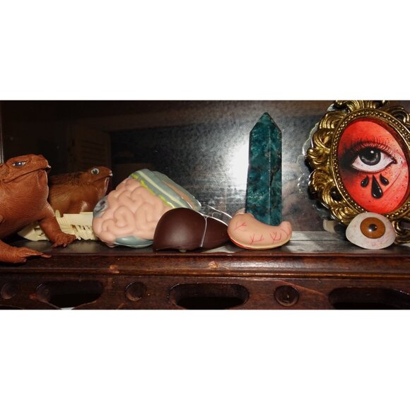 Vintage Plastic Human Organ Miniatures liver kidney intestines oddity curiosity - Picture 2 of 10